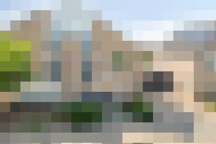 Veldbies 43 Terheijden thumbnail 50