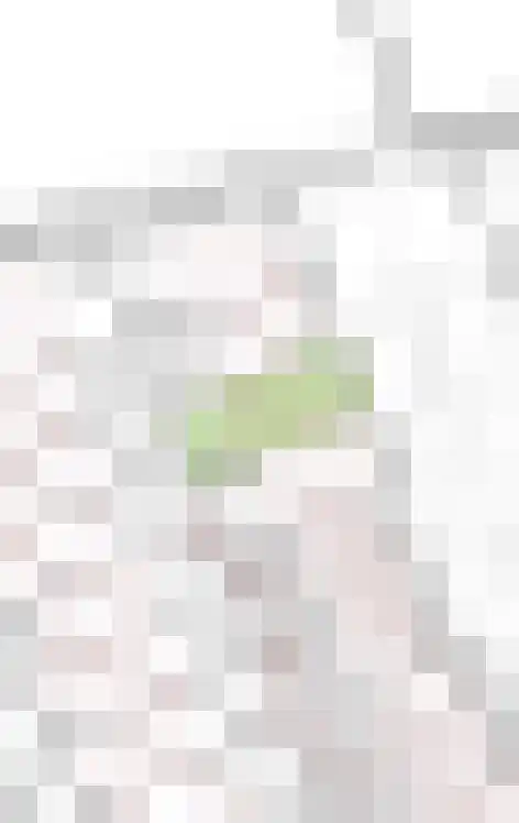 Veldbies 43 Terheijden thumbnail 56