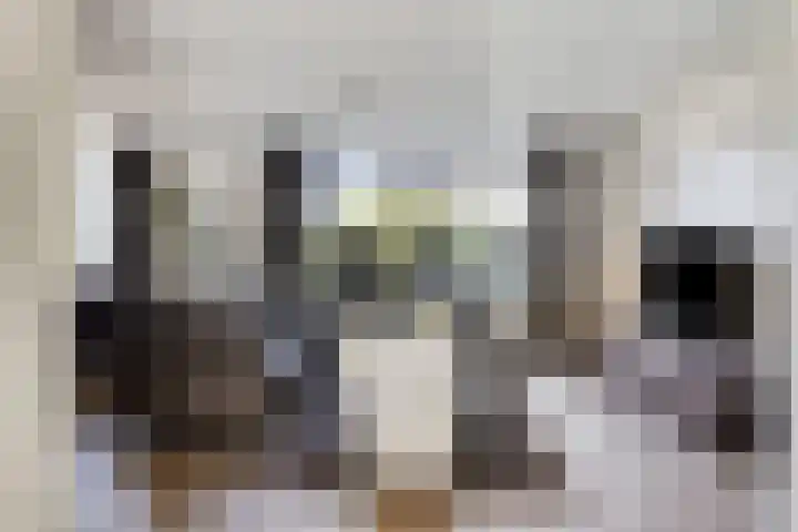Veldbies 43 Terheijden thumbnail 8