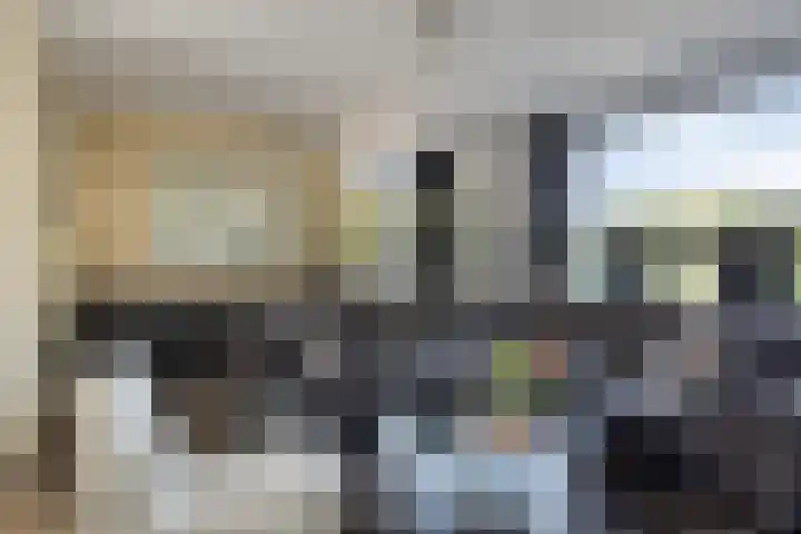 Veldbies 43 Terheijden thumbnail 9