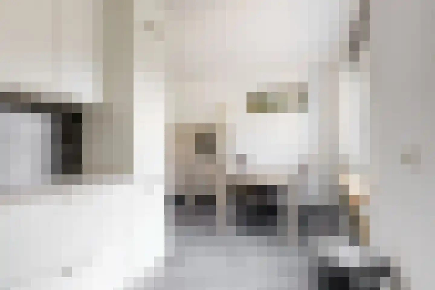 Veldbies 5 Abbekerk thumbnail 12