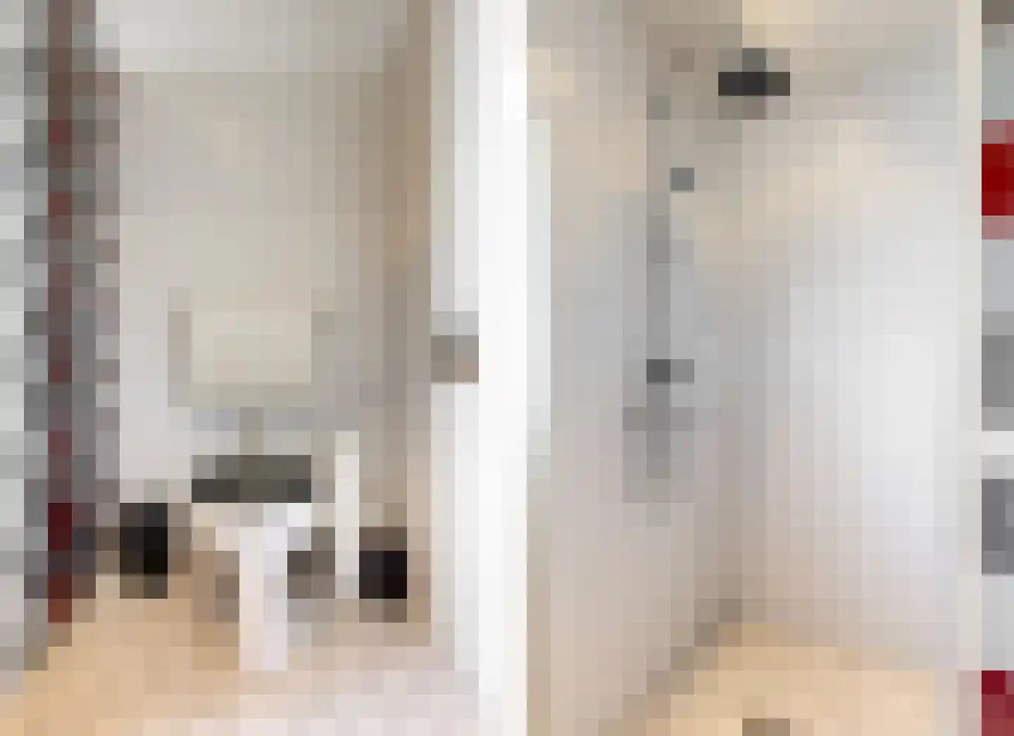 Veldbies 5 Abbekerk thumbnail 20