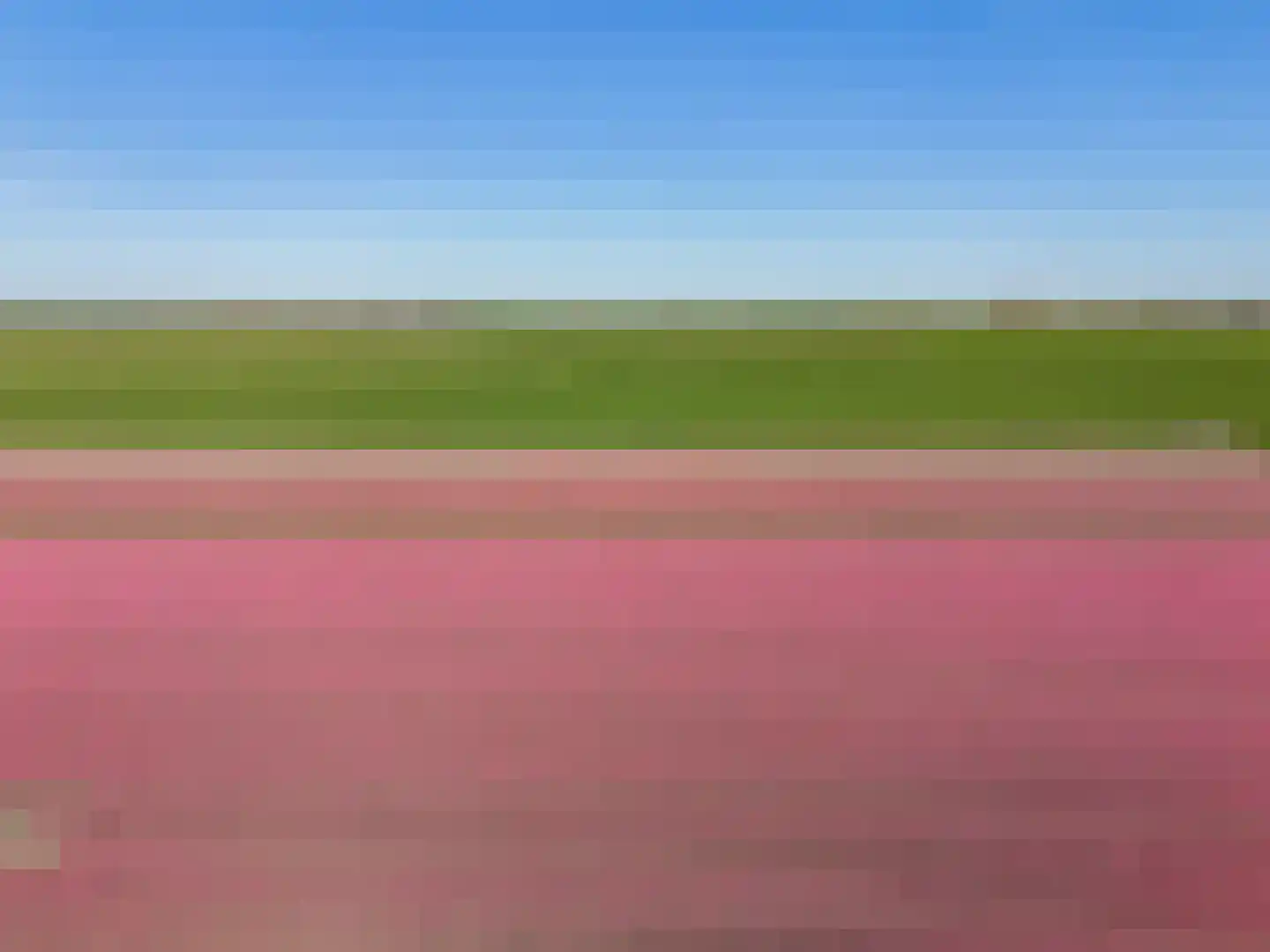 Veldbies 5 Abbekerk thumbnail 41