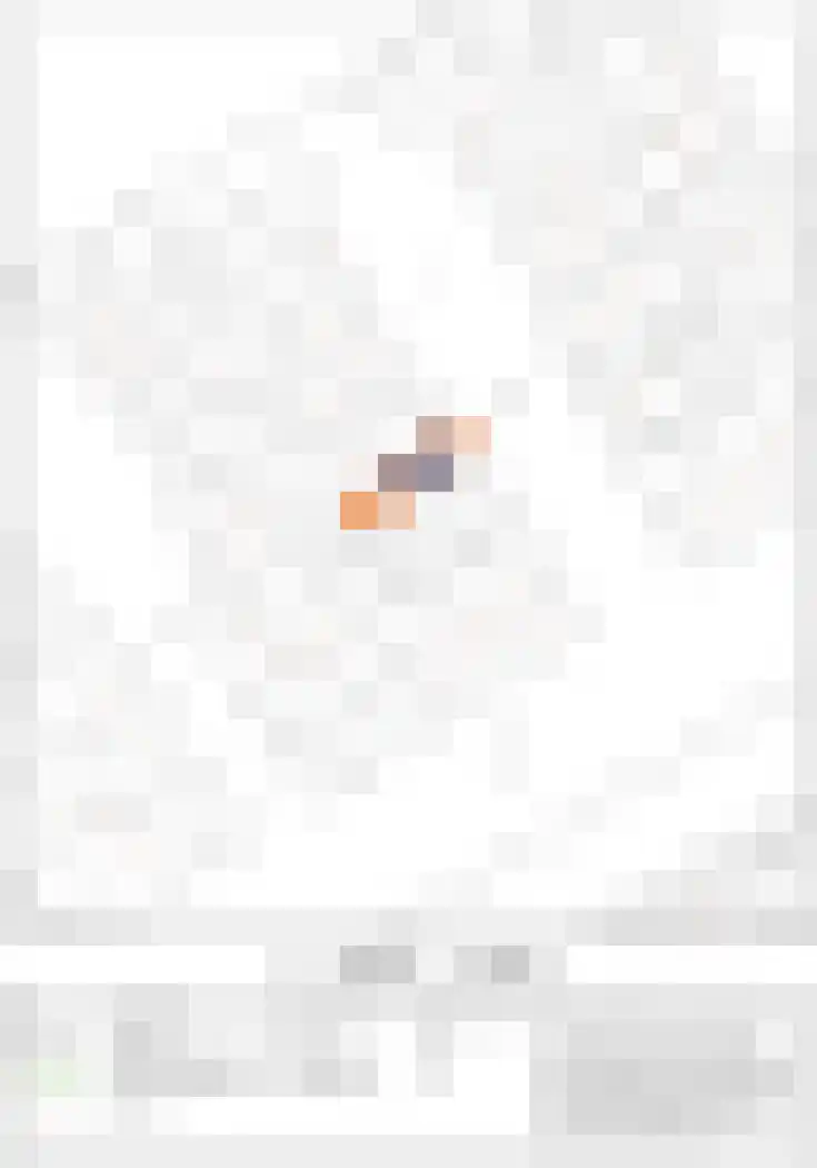 Veldbies 5 Abbekerk thumbnail 47