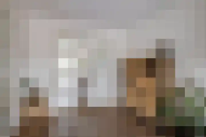 Veldbies 6 Mariënheem thumbnail 10