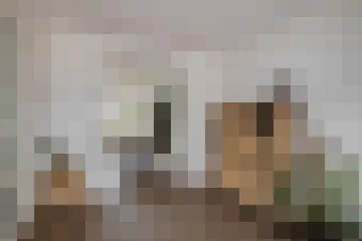 Veldbies 6 Mariënheem thumbnail 11