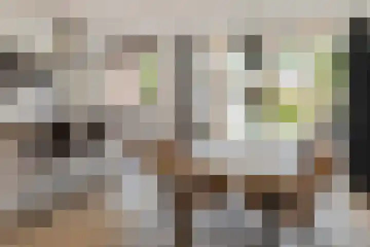 Veldbies 6 Mariënheem thumbnail 13