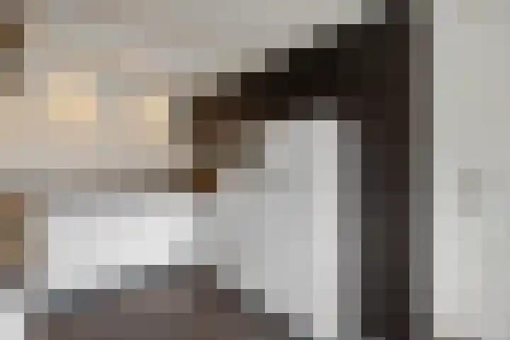 Veldbies 6 Mariënheem thumbnail 17