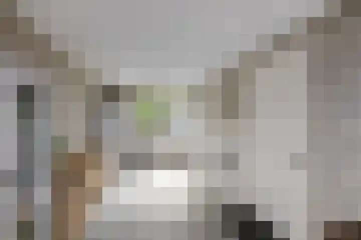 Veldbies 6 Mariënheem thumbnail 18