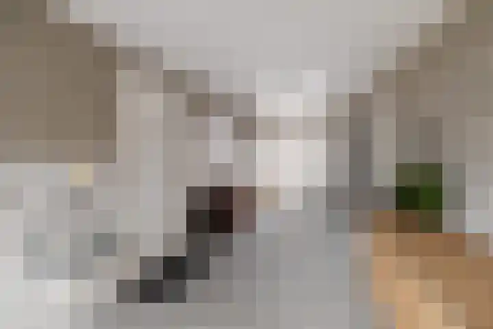Veldbies 6 Mariënheem thumbnail 19
