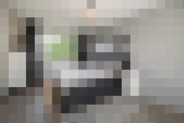 Veldbies 6 Mariënheem thumbnail 21
