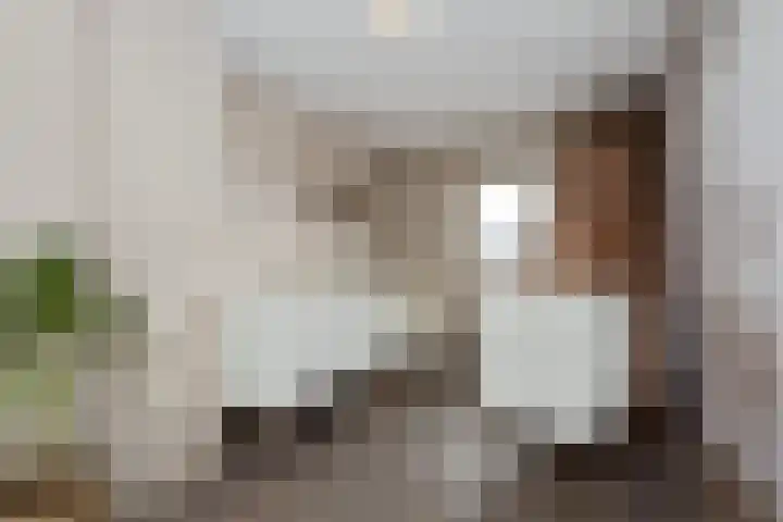 Veldbies 6 Mariënheem thumbnail 24