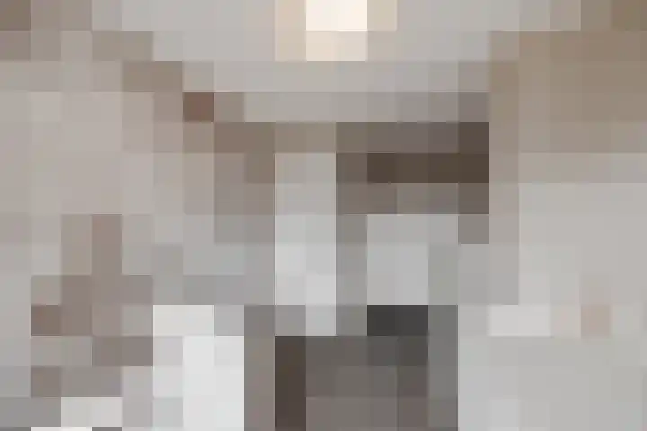 Veldbies 6 Mariënheem thumbnail 25
