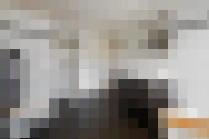 Veldbies 6 Mariënheem thumbnail 26