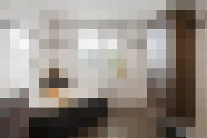 Veldbies 6 Mariënheem thumbnail 28