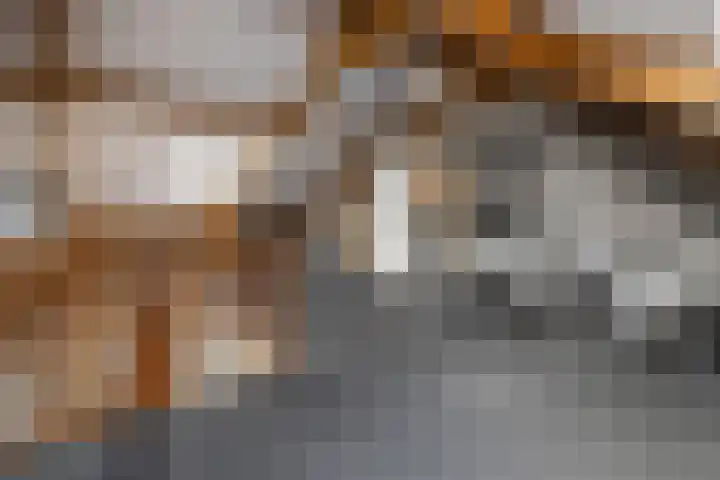 Veldbies 6 Mariënheem thumbnail 31