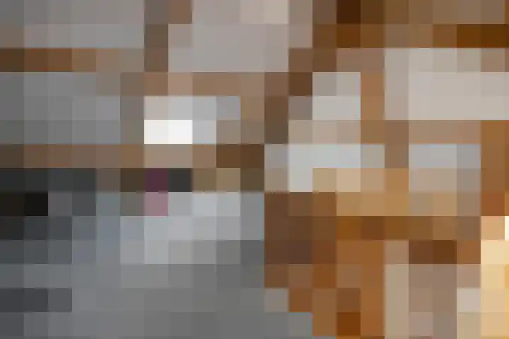 Veldbies 6 Mariënheem thumbnail 32