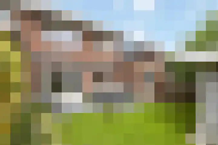 Veldbies 6 Mariënheem thumbnail 33