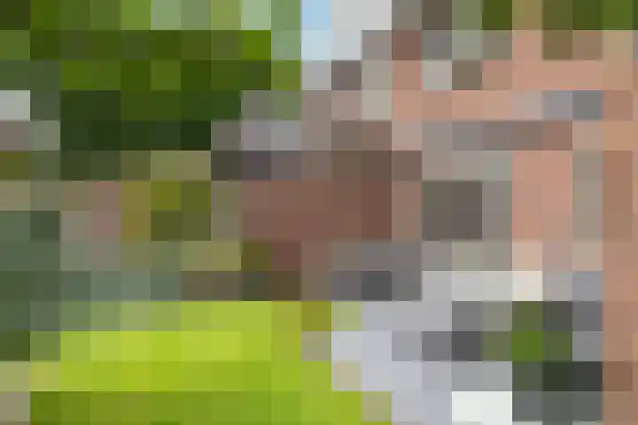 Veldbies 6 Mariënheem thumbnail 34