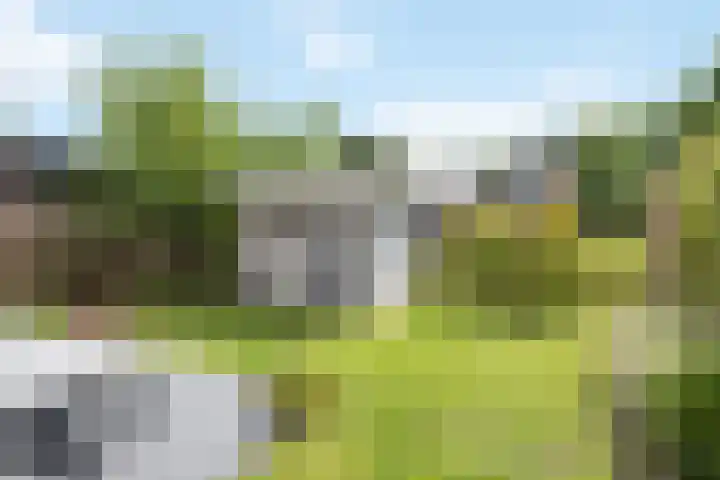 Veldbies 6 Mariënheem thumbnail 35