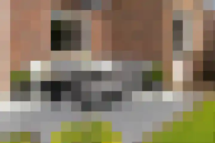 Veldbies 6 Mariënheem thumbnail 36