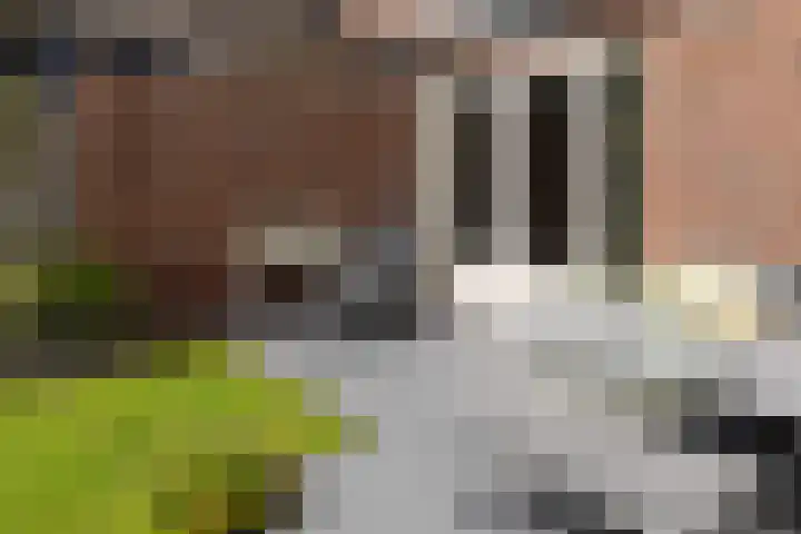 Veldbies 6 Mariënheem thumbnail 37