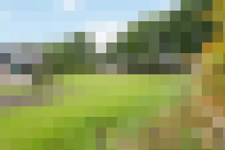 Veldbies 6 Mariënheem thumbnail 38