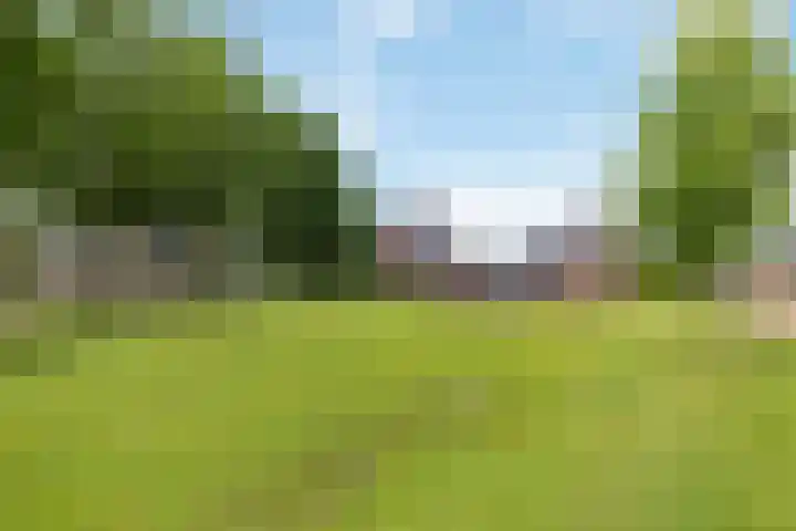 Veldbies 6 Mariënheem thumbnail 39