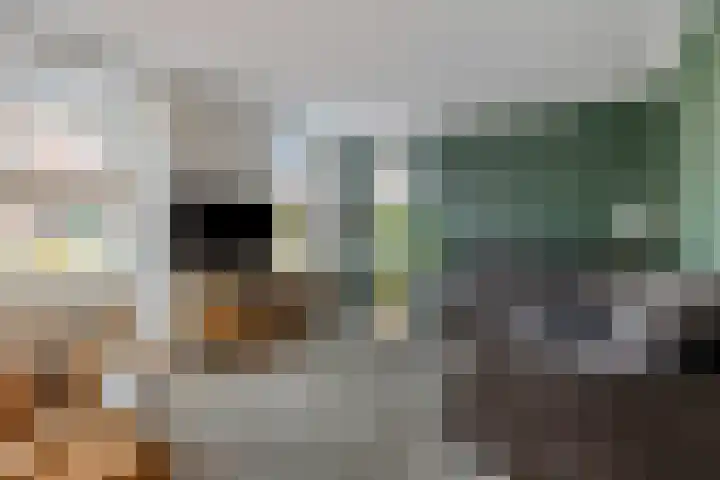 Veldbies 6 Mariënheem thumbnail 4