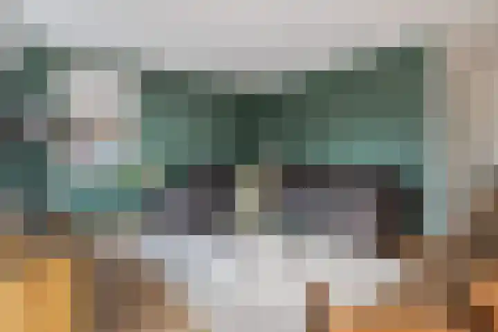 Veldbies 6 Mariënheem thumbnail 5