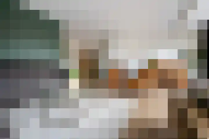 Veldbies 6 Mariënheem thumbnail 6