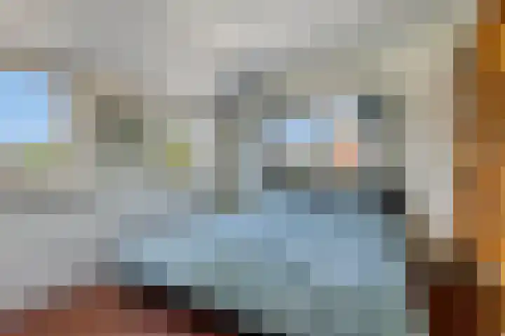 Veldbiesstraat 2 Wildervank thumbnail 18