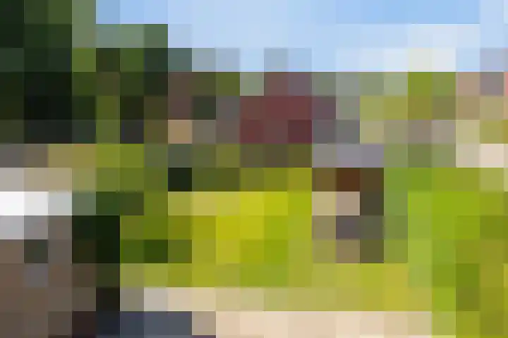 Veldbiesstraat 2 Wildervank thumbnail 22