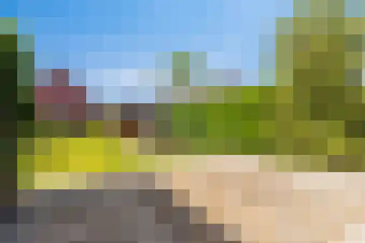 Veldbiesstraat 2 Wildervank thumbnail 23