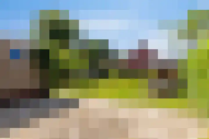 Veldbiesstraat 2 Wildervank thumbnail 24