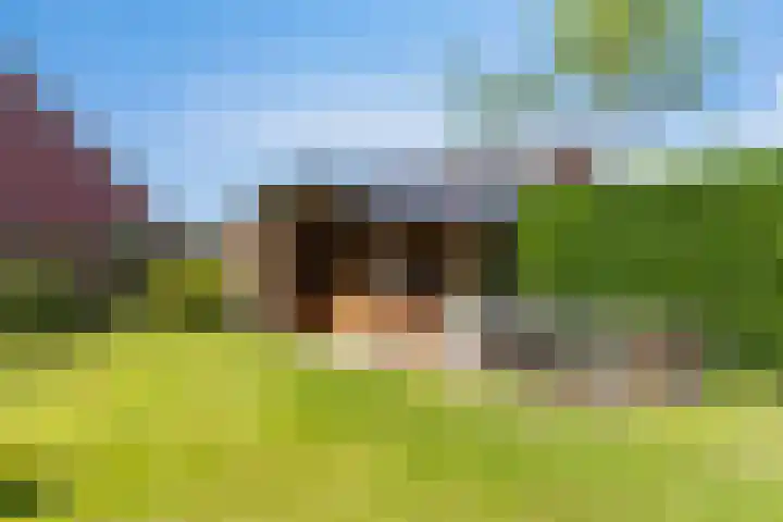 Veldbiesstraat 2 Wildervank thumbnail 25