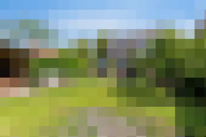 Veldbiesstraat 2 Wildervank thumbnail 26