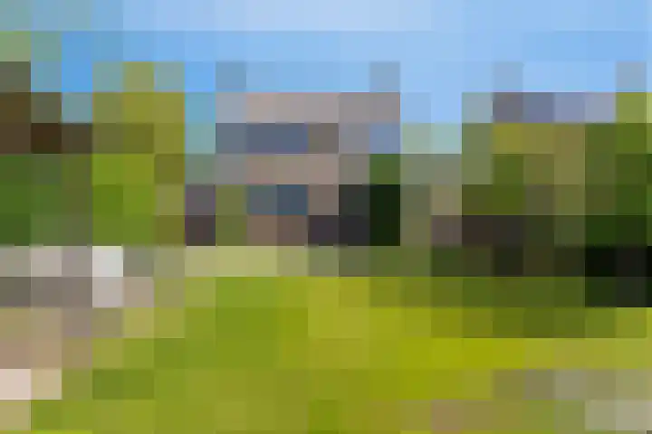 Veldbiesstraat 2 Wildervank thumbnail 27