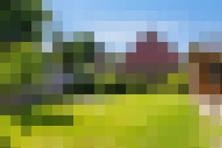 Veldbiesstraat 2 Wildervank thumbnail 29