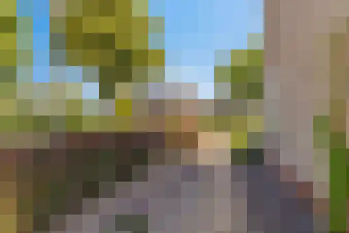 Veldbiesstraat 2 Wildervank thumbnail 30