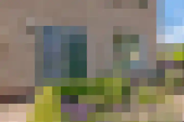 Veldbiesstraat 2 Wildervank thumbnail 4