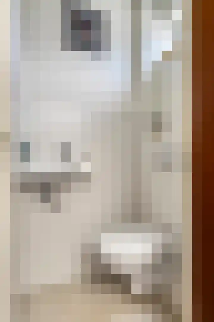 Veldbiesstraat 2 Wildervank thumbnail 6