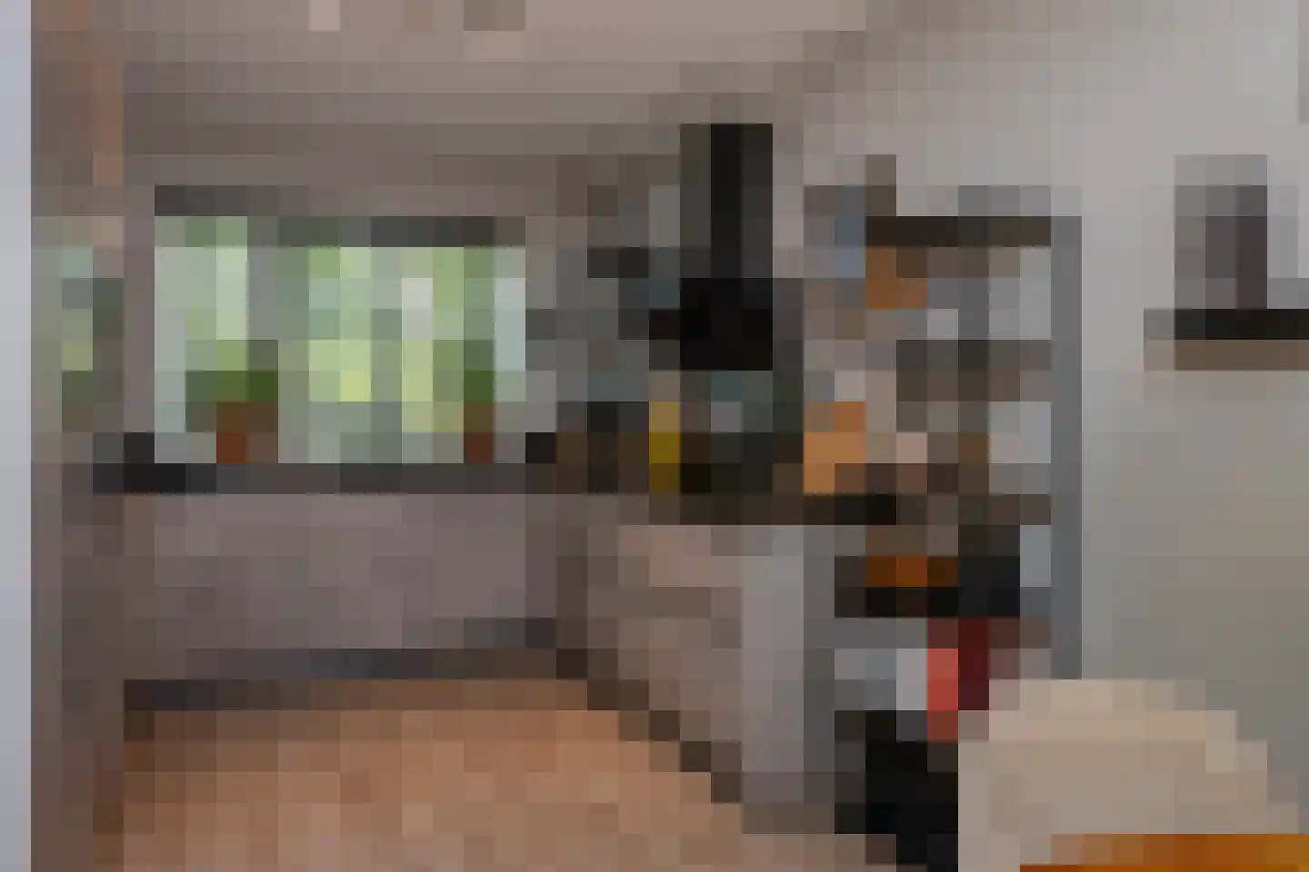 Veldbiesweg 10 't Harde thumbnail 22