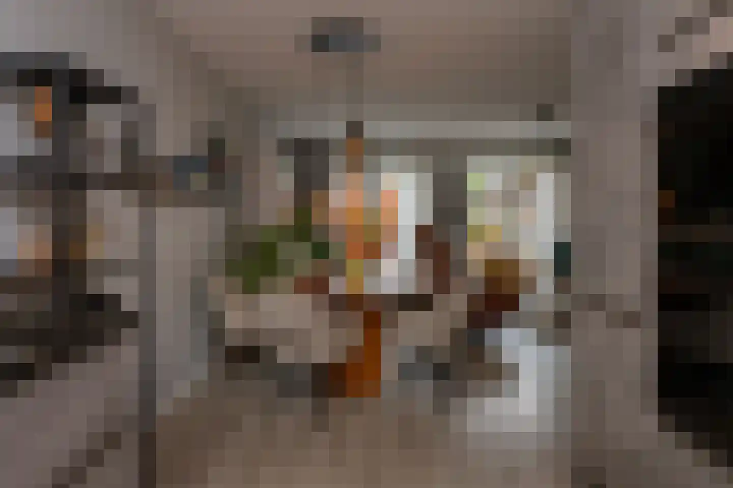 Veldbiesweg 10 't Harde thumbnail 27