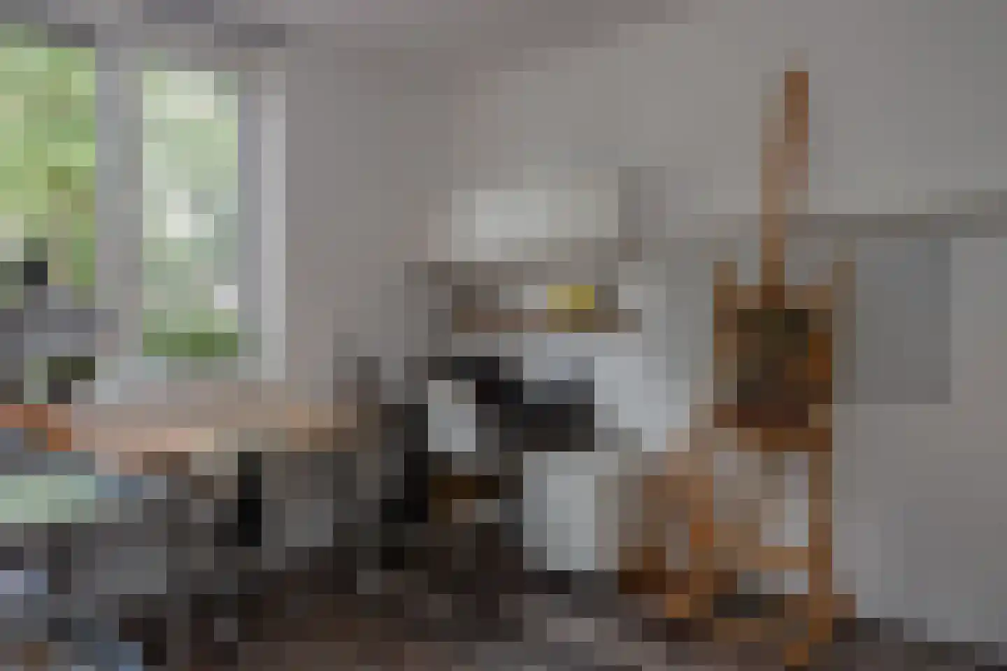 Veldbiesweg 10 't Harde thumbnail 34