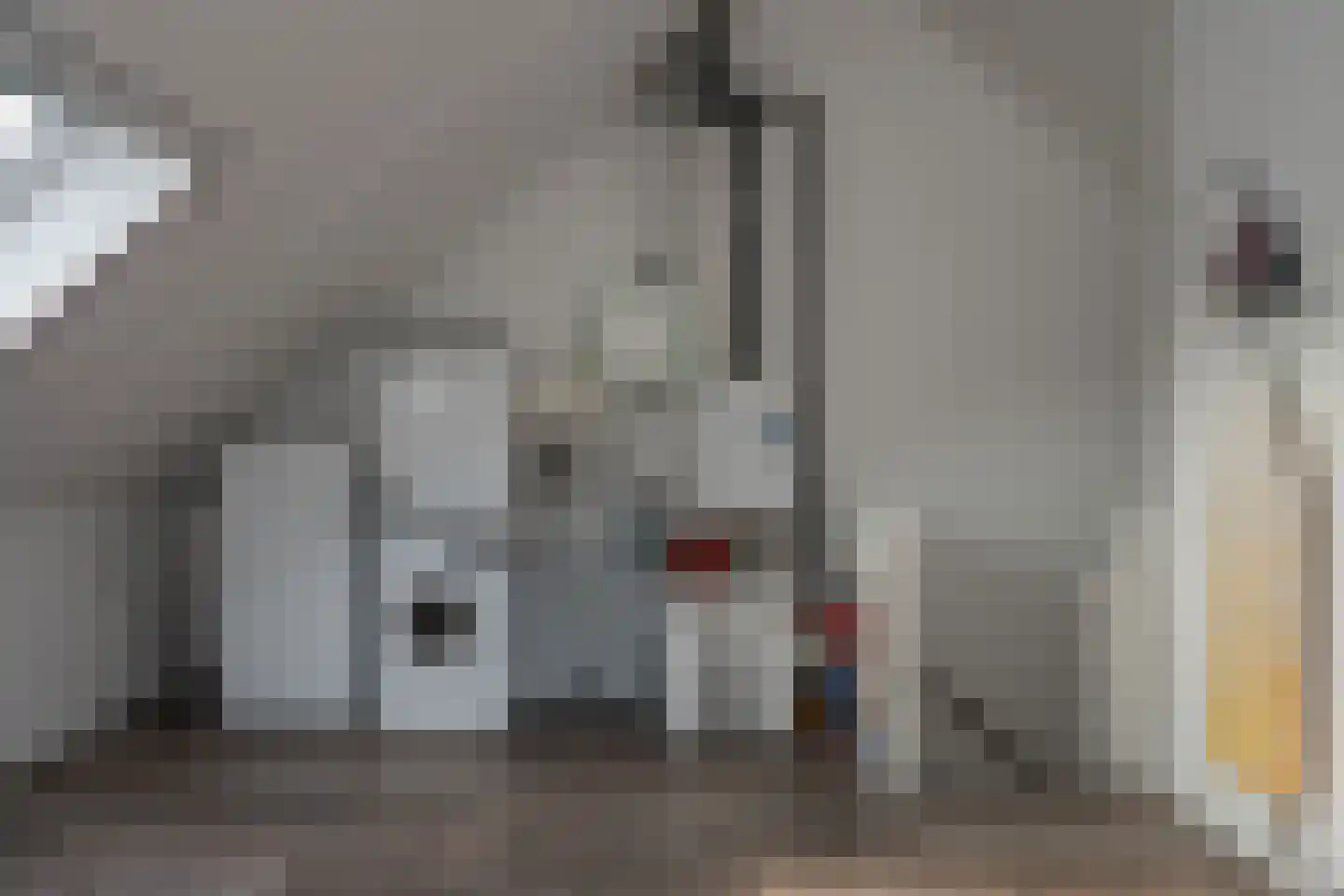 Veldbiesweg 10 't Harde thumbnail 45
