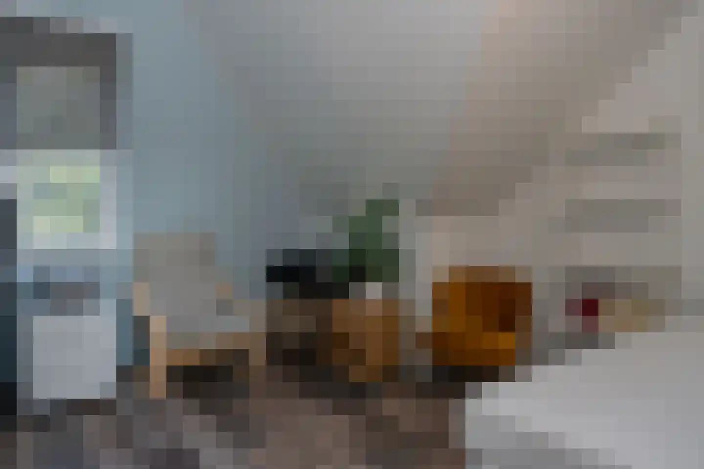 Veldbiesweg 10 't Harde thumbnail 47