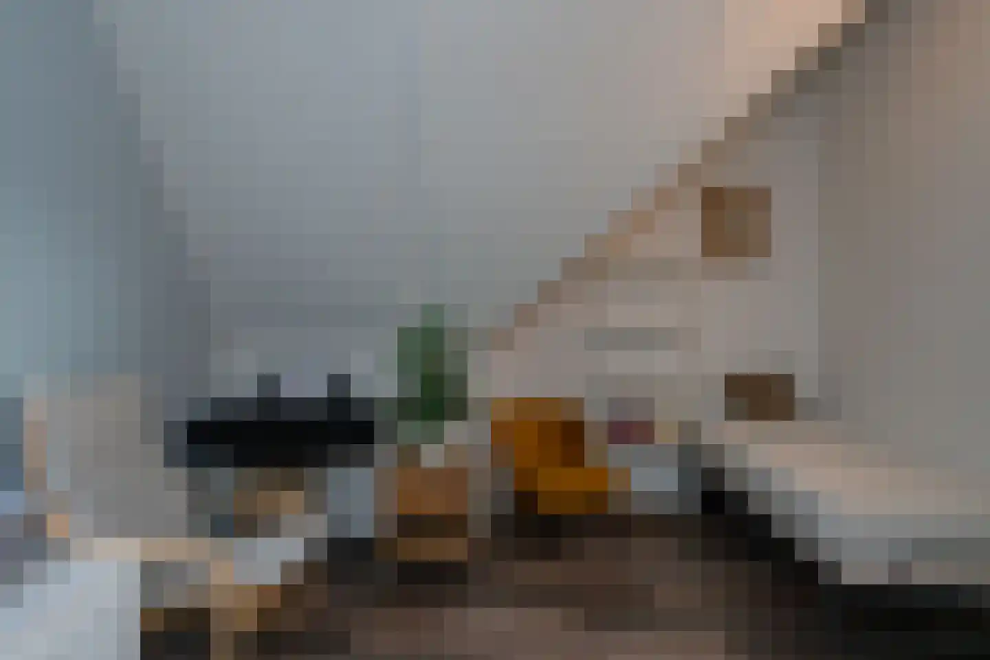 Veldbiesweg 10 't Harde thumbnail 48