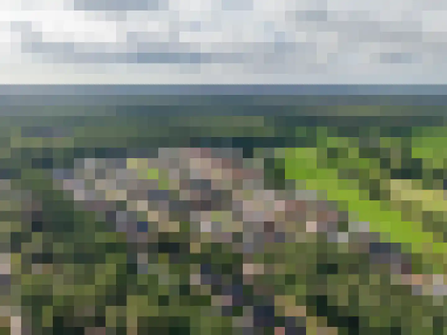 Veldbiesweg 10 't Harde thumbnail 62