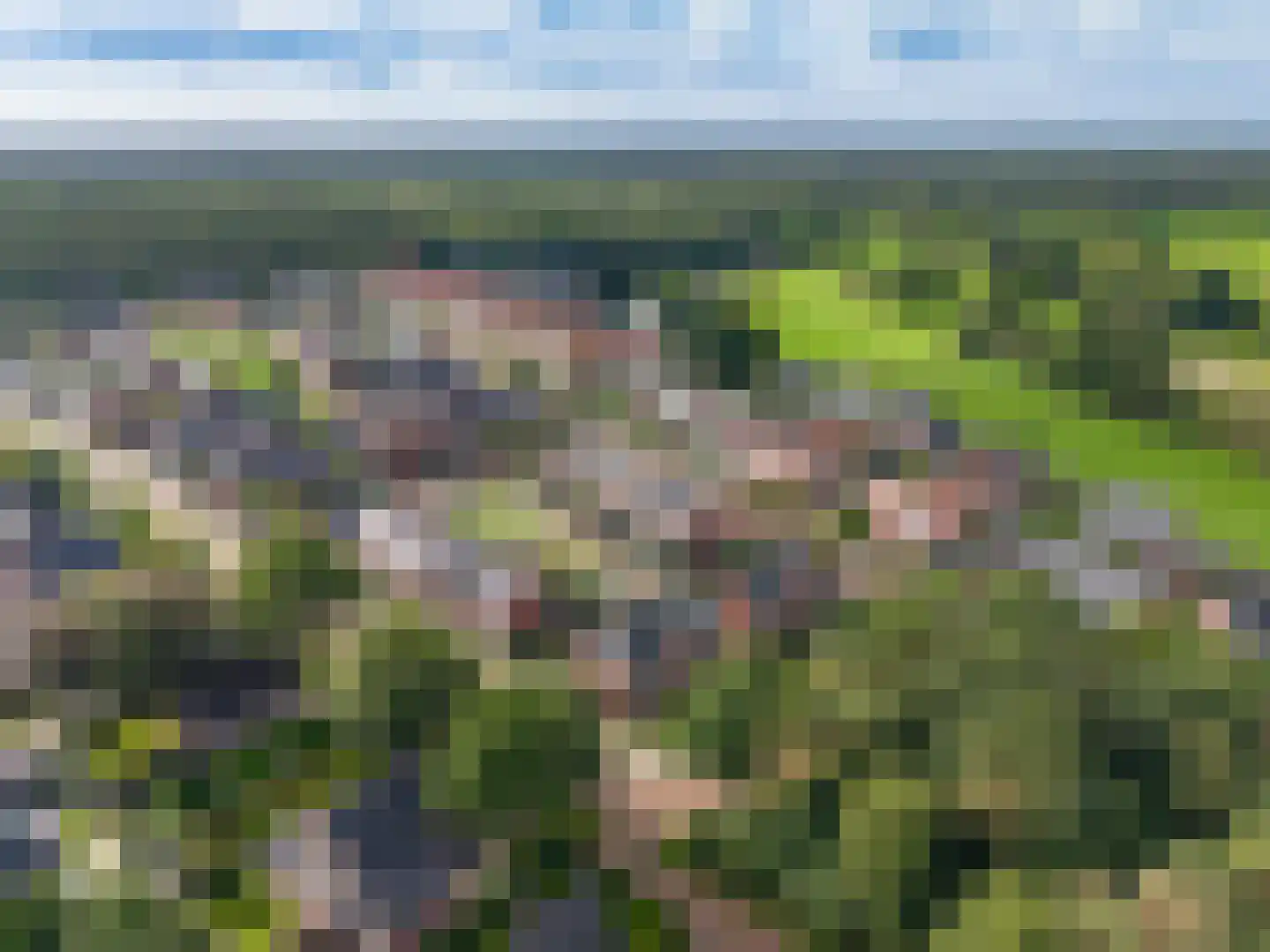 Veldbiesweg 10 't Harde thumbnail 65